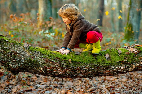 Child climbing on a tree